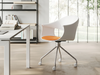 Conference Chairs